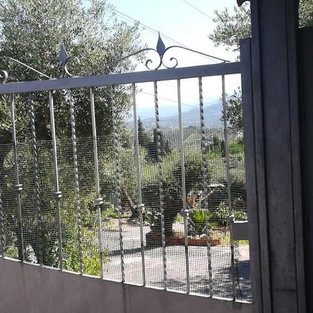La Casa Tra Gli Ulivi Di Fonte Nuova 2 Villa Mentana Dış mekan fotoğraf