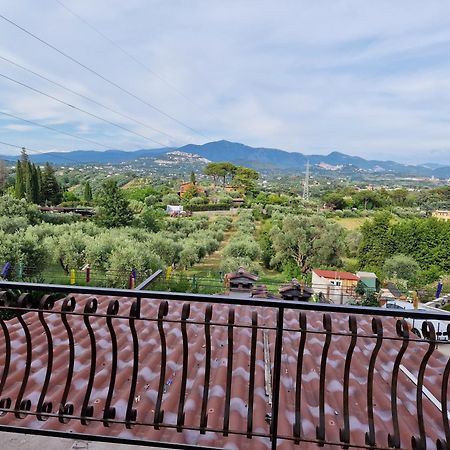 La Casa Tra Gli Ulivi Di Fonte Nuova 2 Villa Mentana Dış mekan fotoğraf