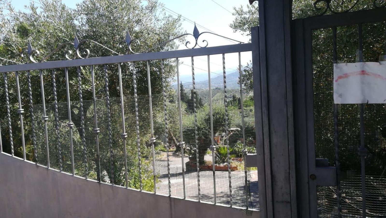 La Casa Tra Gli Ulivi Di Fonte Nuova 2 Villa Mentana Dış mekan fotoğraf