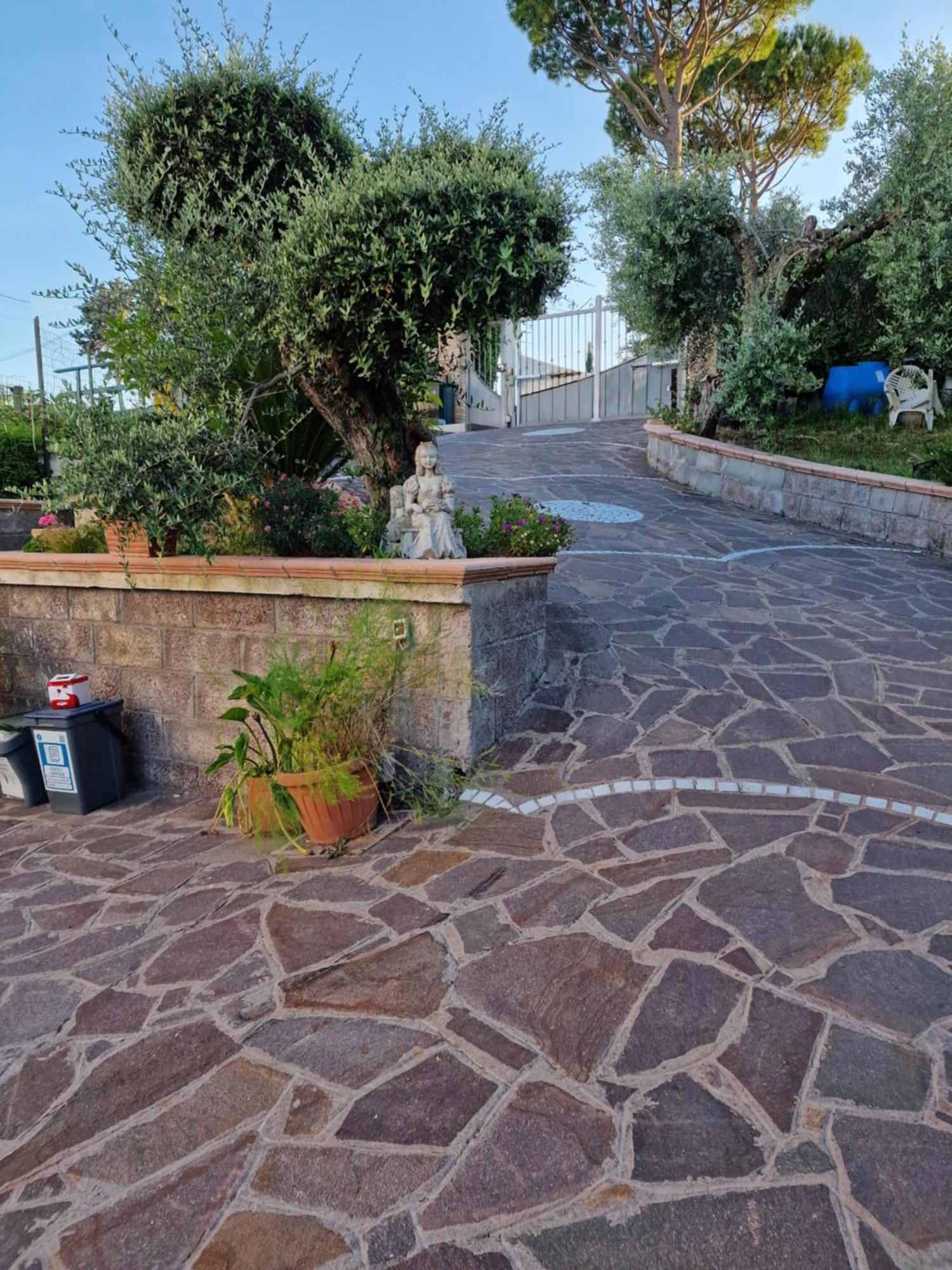 La Casa Tra Gli Ulivi Di Fonte Nuova 2 Villa Mentana Dış mekan fotoğraf